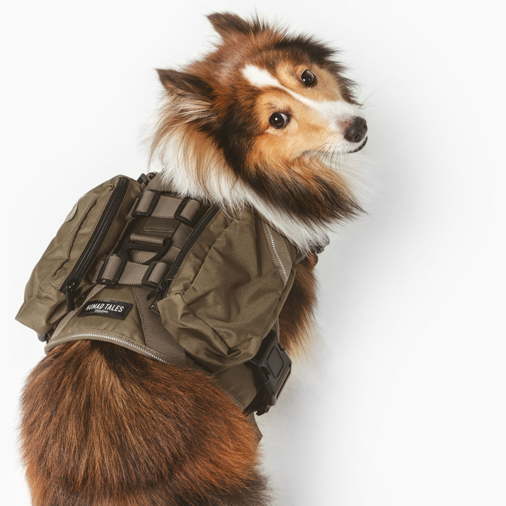 Nomad Tales Tactical Hundegeschirr - Größe M: ca. 76-91 cm Brustumfang Nomad Tales Tactical Hundegeschirr - Größe M: ca. 76-91 cm Brustumfang von Nomad Tales