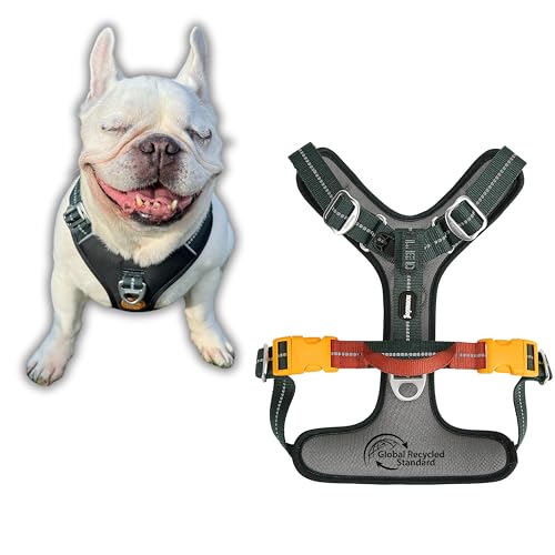 Nomadog Trailblazer Anti Zug Hundegeschirr Gepolstert Mit Haltegriff – Ideal Für Aktive Hunde & Abenteuer Im Freien – Reflektierend, Verstellbar, Aluminium Ringe - Hundegeschirr Kleine Hunde (S) von Nomadog