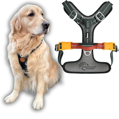 Nomadog Trailblazer Anti Zug Hundegeschirr Grosse Hunde Gepolstert Mit Haltegriff – Ideal Für Aktive Hunde & Abenteuer Im Freien – Reflektierend, Verstellbar, Aluminium Ringe - Geschirr Hund Groß (L) von Nomadog