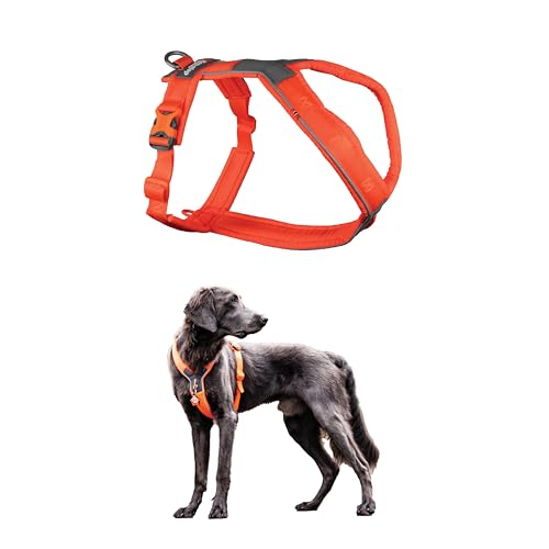 Non-stop dogwear Line Harness 5.0, Gepolstertes Hundegeschirr für kleine, mittlere und große Hunde, gemacht fürs Wandern, Sport und den aktiven Alltag, Größe 5 von Non-stop dogwear