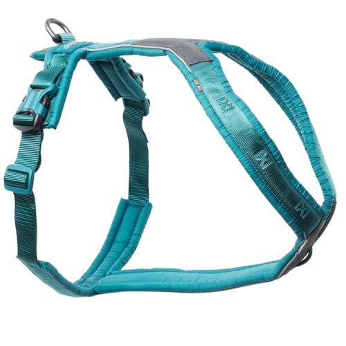 Non-stop dogwear Line Harness 5.0 |214| Fhr und Alltagsgeschirr, Farbe:Teal, Gre:4 von Non-stop dogwear