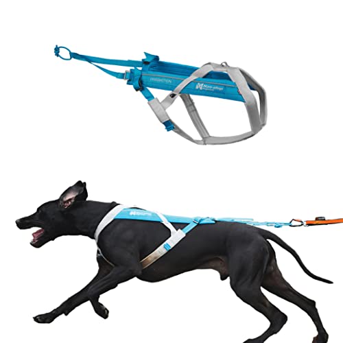 Non-stop dogwear FREEMOTION HARNESS 5.0 |111| blue/grey | Hunde-Geschirr für alle Sportarten, Größe:8 von Non-stop dogwear