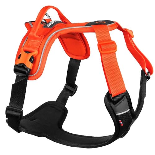 Non-stop dogwear Ramble Harness | orange | Führ und Alltagsgeschirr, Größe:S von Non-stop dogwear