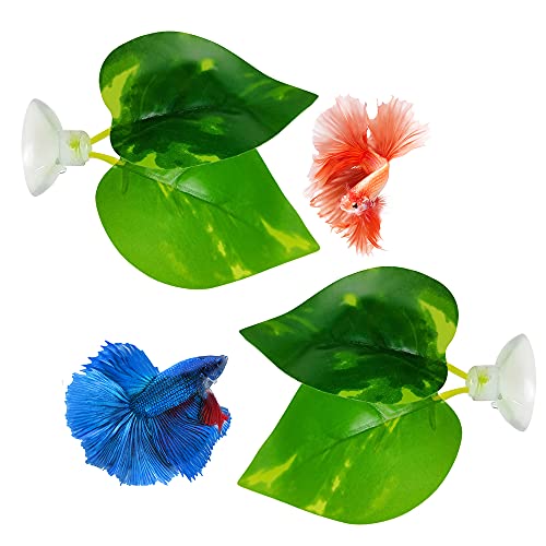 Noodoky Betta Fish Leaf Pad (2er-Pack) von Noodoky