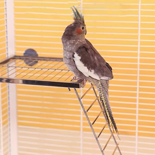 Nopikku Edelstahl Vogelkäfig Sitzstange Plattform mit Kletterleiter für mittelkleine Vögel wie Lovebird Sun Conures Ständer Regal Hängende Spielstudios für Vögel (M) von Nopikku