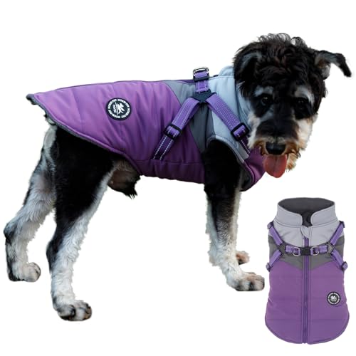 Norbi Winterjacke für kleine Hunde mit Geschirr, 2-in-1-Welpenmantel von Norbi