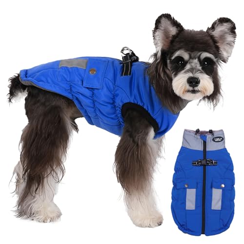 Norbi Hund Wintermantel, Warmer Hundemantel Reflektierend Verstellbarer Hundemantel Wasserdicht, Hoher Kragen mit Warmfutter Hundejacke Weste für kleine mittelgroße Hunde (Klein, Königsblau) von Norbi