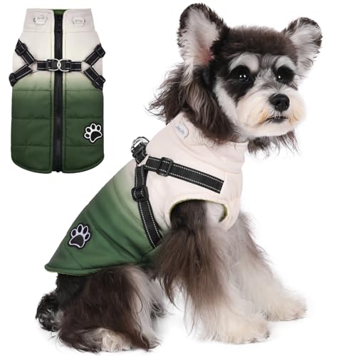 Norbi Gradient Hundemantel mit Geschirr, reflektierenden Trägern, warme Jacke für kleine mittelgroße Hunde (XX-Large, Gradient Green) von Norbi