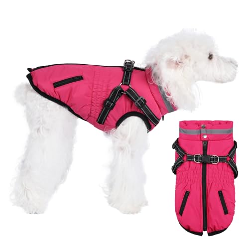 Norbi Hundemäntel mit Geschirr, warmer Hundemantel, reflektierend, Winter-Hundemäntel für kleine Hunde, verstellbare Hundejacke, Weste, kaltes Wetter, Mäntel für kleine, mittelgroße Hunde von Norbi