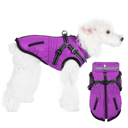 Norbi Hundemäntel mit Geschirr, warmer Hundemantel, reflektierend, Winter-Hundemäntel für kleine Hunde, verstellbare Hundejacke, Weste, kaltes Wetter, Mäntel für kleine, mittelgroße Hunde von Norbi