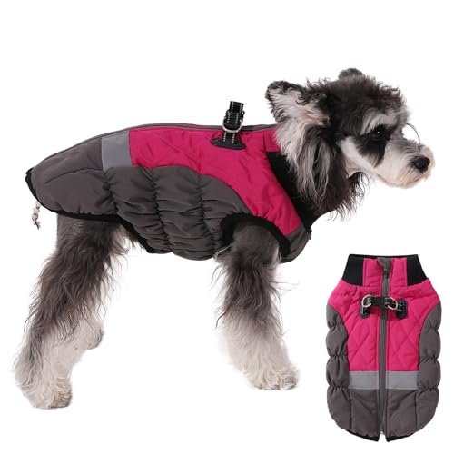 Norbi Warmer Hundemantel, Hunde-Wintermantel mit integriertem Geschirr, reflektierend, verstellbar, für kleine Hunde, warme Hundejacke, winddicht für kleine und mittelgroße Hunde von Norbi