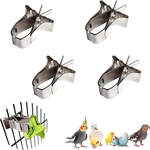 Norhogo 4 Stücke Papageien Obst Gemüse Feeder Clip, Obst Feeder Vogelkäfig Füttern Zubehör Papagei Obst Feeder Wubehör Geräte Clip für Wellensittiche Nymphensittiche Kanarienvogel von Norhogo