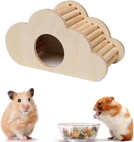 Norhogo Hamster Zubehör, Hamster Spielzeug, Hamster Haus aus Holz Hamster Versteck Hamsterhaus Treppe Spielzeug Hamster Zubehör für Chinchilla/Ratten/EichhöRnchen/Kleine und Goldhamster Wolkenform von Norhogo