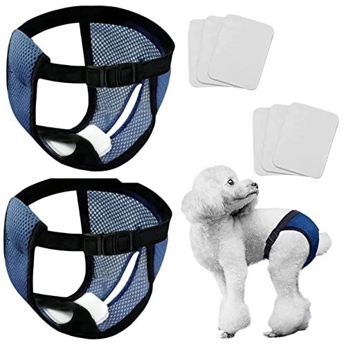 Norhogo Höschen Hündin Hundehose 2er Pack, mit 6 Hygienepad Waschbare für Hündinnen bei Monatliche Blutung Waschbare Schutzhose umweltfreundliche Blau M von Norhogo