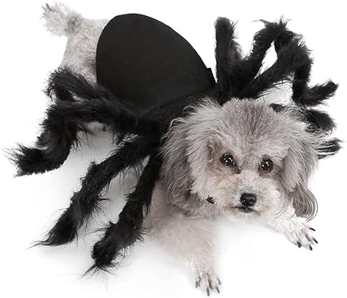 Norhogo Hunde-Kostüme, Halloween Spinnenkostüm Haustier Kleidung, Spinne Haustier Kostüm für Katze Hund,Spinne Fledermaus Rollenspiele Anzieh Kleidung für Katzen Flügel von Norhogo