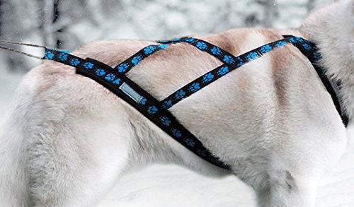 Northern Howl X-Back Zuggeschirr Fuer Bike-, Skijoring, Dogscooting, Schlitten, Blaue Pfoten (L) von Northern Howl