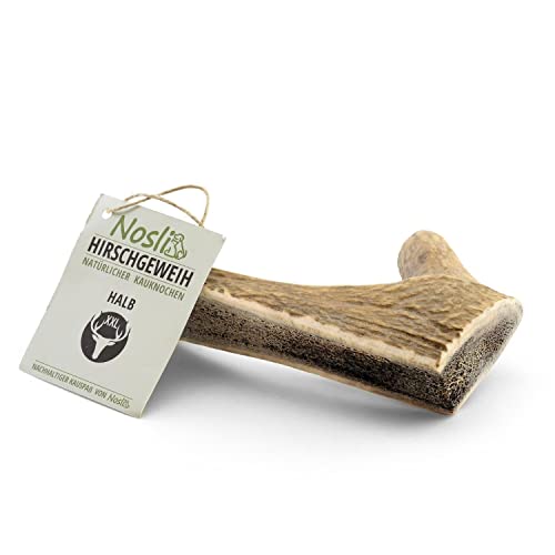 Nosli Geweih für Hunde Halb • Hirschgeweih • Abwurfstangen Geweihsnack • Kauknochen • XXL (180-250g) 3er Pack von Nosli