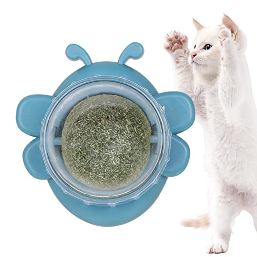 Catnip Wall Ball Spielzeug | Bienenform Catnip Roller Ball Wandspielzeug | Gesunde Bio-Katzenklammern, rotierende Wandhalterung, essbare Kätzchen Kippspielzeug für Katzenlecken, Zahnreiniger und Spiel von Novent