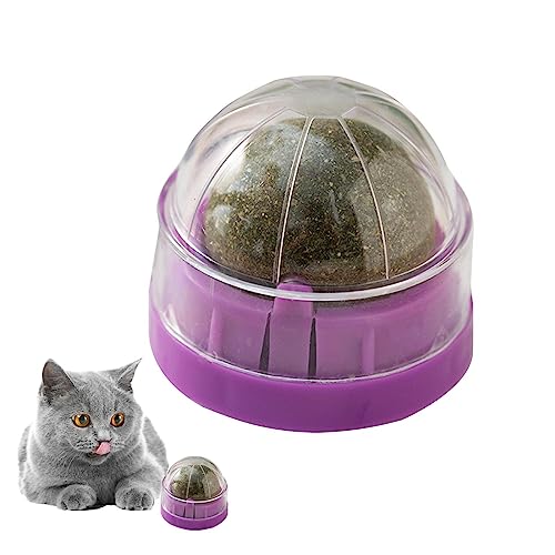 Catnip Wall Ball Spielzeug - Drehbare essbare Kätzchen Spielzeug für Katzenlecken | Gesunde Zahnreiniger Kauen Spielzeug, Bio-essbare Kätzchen Spielzeug, Katzenwände, Katzenminze leckbare Bälle Novent von Novent