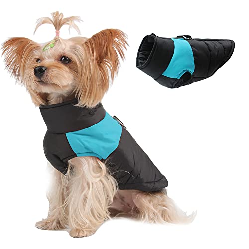 Novetec Hundemantel für Hunde Hundejacken Wasserdicht Hunde gegen Kälte und Wind im Winter (4XL (Brust:65cm Rücken:52cm), Blau) von Novetec