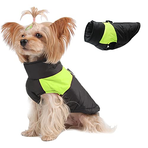 Novetec Warme Hundemantel Winter, Hundejacke wasserdichte Hund Wintermantel für Kleine Mittel Große Hunde Katze Winterweste Winddichte Haustierkleidung mit Geschirrloch(M, Grün) von Novetec