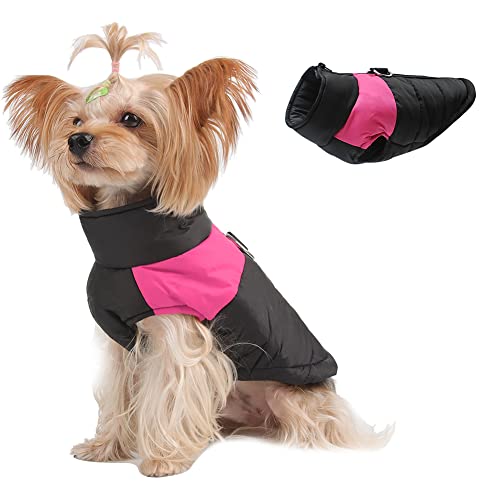 Novetec Warme Hundemantel Winter, Hundejacke wasserdichte Hund Wintermantel für Kleine Mittel Große Hunde Katze Winterweste Winddichte Haustierkleidung mit Geschirrloch(XXL, Rosa) von Novetec