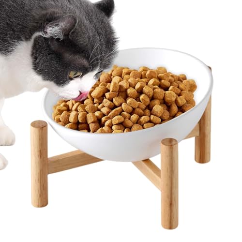 Nubamzy Erhöhte geneigte Katzennäpfe, auslaufsichere Keramik-Hundeschüssel, Anti-Erbrochener Futternapf, Katzen-Futternapf mit Holzständer für Kätzchen, Indoor-Katzen, Hunde von Nubamzy