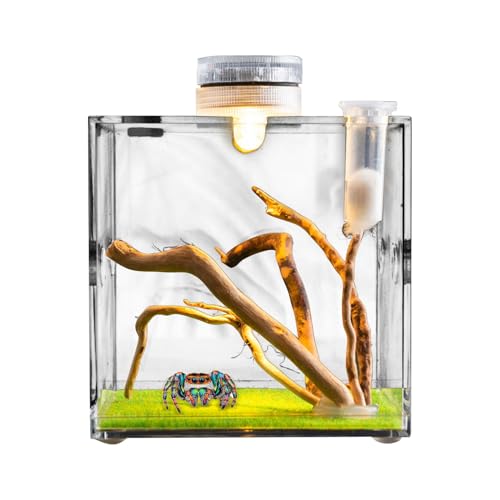 Nuhjytgf Clear Glass Reptile Container, Clear Reptile Cage - Acrylsprungspinnen -Clear Terrarium - Mehrzweck Haustierbehälter für Käfer, Schildkröten, Schnecken, Eidechsen von Nuhjytgf