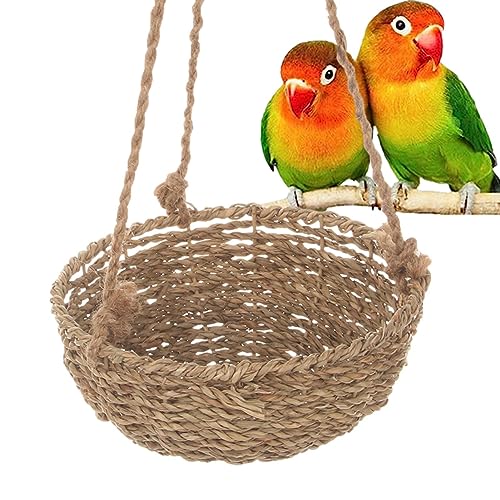 Nupaque Papageiennest für Käfig | Papageien ruhen Rattannest mit Schlaufe | Rustikale Vogelhütten für Rennmäuse, Wellensittiche, Bluebirds, Indoor & Outdoor Papageiennest für Spatzen, Lovebirds von Nupaque