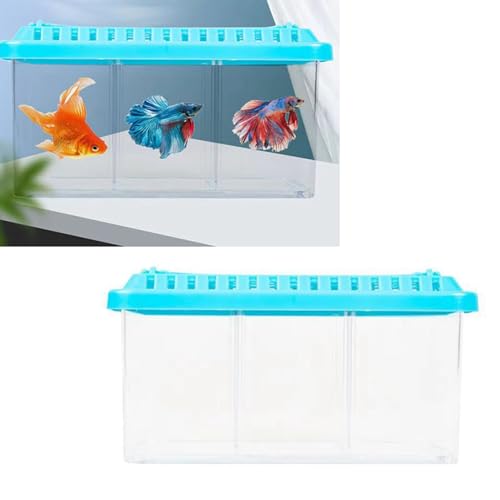 Acryl-Aquarium mit Herausnehmbaren Trennwänden, 3 Bereiche, Hochauflösendes, Transparentes Kleines Aquarium, Desktop-Layout das Heimbüro, Transparentes Desktop-Aquarium, von Nurnesy