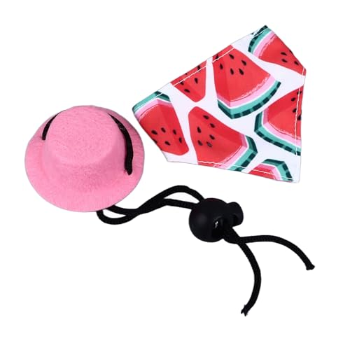 Bartagamen-Hut-Bandana-Set, Halloween-Eidechsenkostüm, Bartagamen-Zubehör, Kleintier-Reptil-Cosplay-Outfits (Rote Wassermelone) von Nurnesy