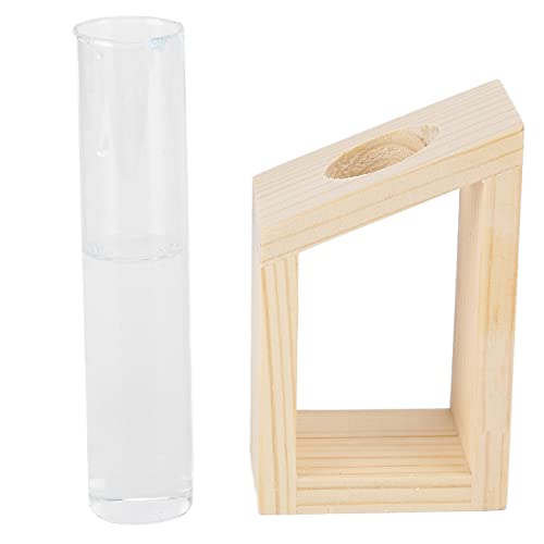 Reagenzglas Pflanzenvase, Einfache Röhrenglasvase, Dekoration, Holzrahmen, Hydrokultur-Pflanzenbehälter, Heim-Desktop-Dekoration (Einrohr-Hydrokultur) von Nurnesy