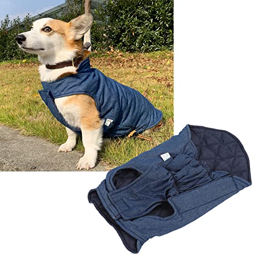 Warme Baumwoll-Hundejacke, Bequeme Kleidung für Haustiere, Draußen und Drinnen, Verhindert Sonnenbrand. Lockere Hunde-Herbstkleidung für, Beagle, Golden Retriever, Yorkshire (2XL) von Nurnesy