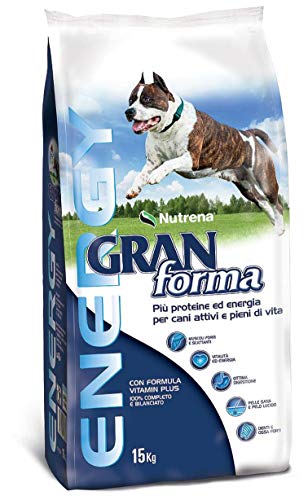 Granform Energy Sack 15 kg Piu Omaggio Biscotti Plus Crancy Giuntini für Intensive, körperliche Aktivitäten oder besonders geschmackvolle Crocchette Hunde Erwachsene von Nutrena