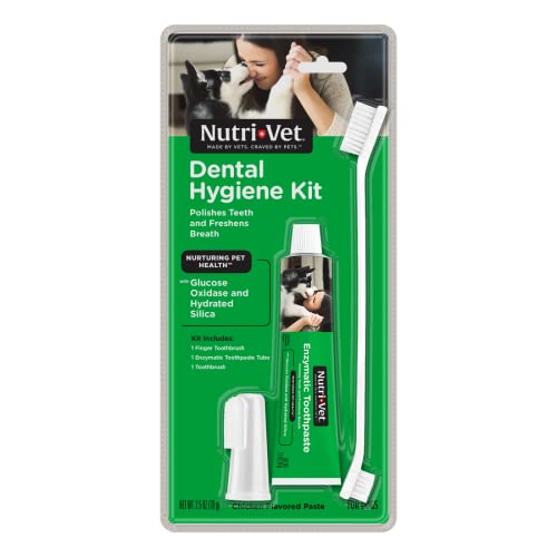 Nutri-Vet Dental Hygiene-Set für Hunde von Nutri-Vet