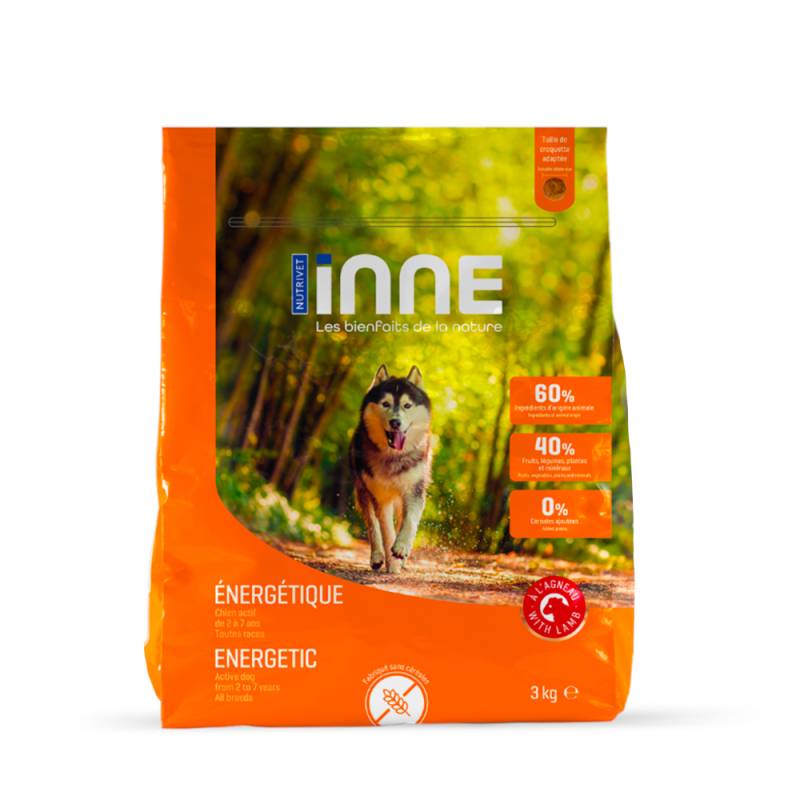 Nutrivet Inne Energetic Dog - 12 kg von Nutrivet