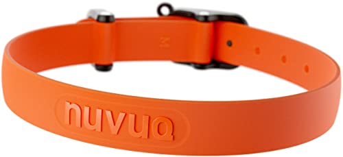 NUVUQ Strapazierfähiges Hundehalsband, bequemes, weiches und leichtes Halsband für aktive Hunde und Welpen (klein, mandarinenorange) von Nuvuq