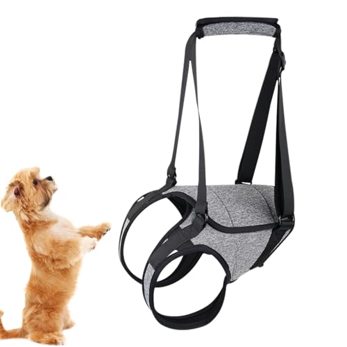 Hebegeschirr Für Hunde – Sling-Stützgeschirr, Haustier-Stützbeingeschirr | Senior Dogs Support Rear Sling, Senior Dog Harness Pet Walking Aids, Hinterbeinstütze Für Gelenkverletzte Und Behinderte Hund von Nuyhadds