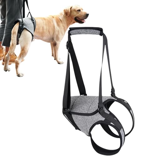 Hebegeschirr Für Hunde – Sling-Stützgeschirr, Haustier-Stützbeingeschirr | Senior Dogs Support Rear Sling, Senior Dog Harness Pet Walking Aids, Hinterbeinstütze Für Gelenkverletzte Und Behinderte Hund von Nuyhadds