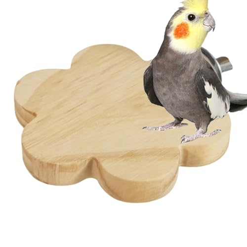 Nuyhadds Vogelstangen für Käfig, Sichtweite,Cockatiel Barch Stand - -Käfigzubehör für Sittiche Cockatiel Lovebirds Conures Brudgie Hamster von Nuyhadds