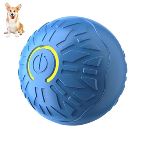 Nuyhgtr Automatic Dog Ball, Pet Toy, Moving Dog Toy, Shaking Dog Ball, Interactive USB Dog Toy Ball with Vibrating Features for Active Pets and Endless Playtime, Orange and Blue von Nuyhgtr