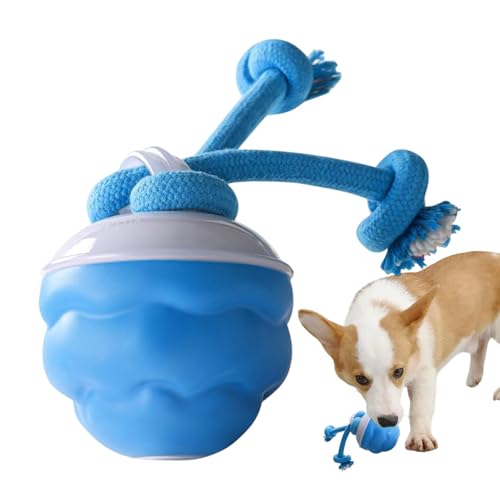 Nuyhgtr Interactive Dog Ball, Touch Motion Activated Rolling Toy, USB Rechargeable Squeaky Ball, Smart Interactive Pet for Small, Medium, and Large Dogs, Puppy Play Exercise von Nuyhgtr