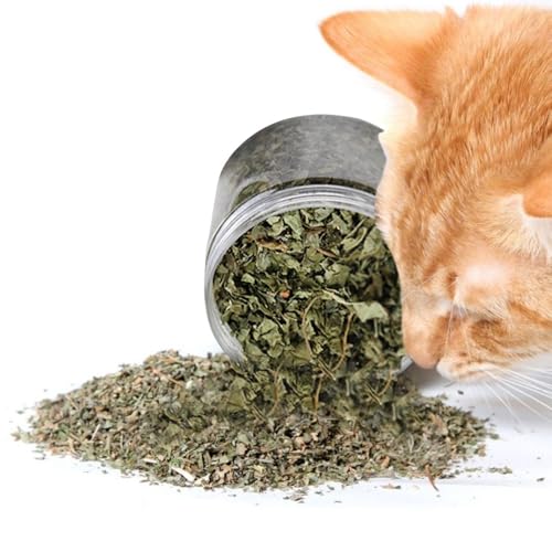 Nuyhgtr Katzen Katzenminze - 40g Natural Leaves Katzenminze Leckerli zur Zahnreinigung - Echte natürliche Blätter Katzenminze, Gesunde Katzensnacks für Zahnreinigung, Haarentfernung, Mundgesundheit von Nuyhgtr