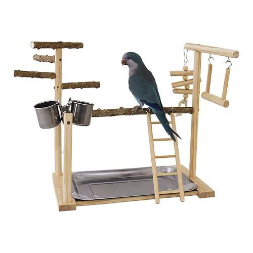 Vogelspielplatz, Schaukel-Kau-Übungsspielzeug, Vogel-Sitzstangen mit Tablett und Tassen, Übungsspiel-Fitnessstudio für Vögel, Nymphensittiche, Sittiche, Vogelspielzeug, Vogelspiel-Fitnessstudio mit von Nuyhgtr