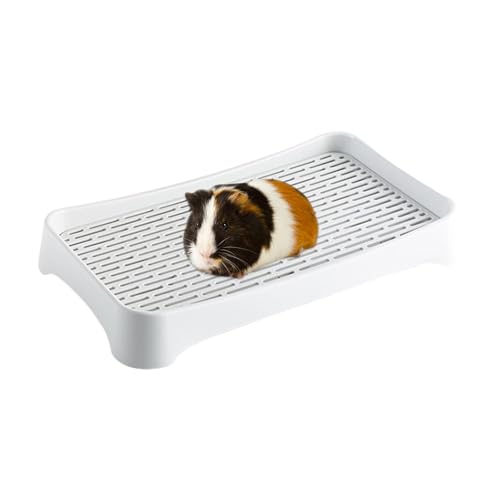 Hasen-Toilettenbox, kleine Kaninchentoilette,Quadratische Kaninchen-Töpfchentrainer-Box | Haustier-Toiletten-Häschenbox, Katzentoilette für ausgewachsene Meerschweinchen, Hamster, Kleintiere von Nuytghr