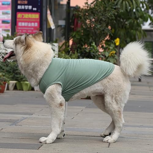 Nvzi - b Hunde- und Katzenweste, atmungsaktive Haustierweste, Welpen-Sweatshirt, Hundekleidung, Outfit, Bekleidung für kleine, mittelgroße Hunde und Katzen, Größe 3XL, A38 von Nvzi