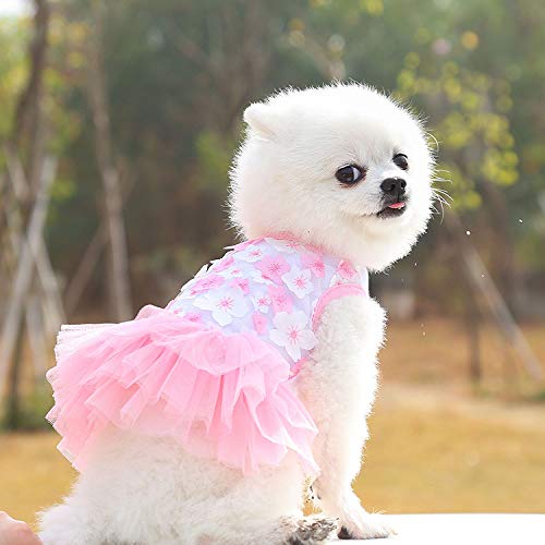 Nvzi -b Süßes Welpen-Hundekleid, süßes Prinzessinnenkleid, Katzenkleid, Hunderock für kleine Mädchen und Hunde (A15-Rosa, S) von Nvzi