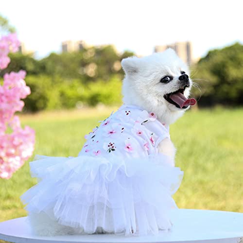 Nvzi - b Süßes Welpenkleid, süßes Prinzessinnenkleid, Katzenkleid, Hunderock für kleine Mädchen, Hunde (Weiß, L) von Nvzi