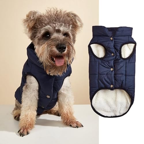 Nvzi -b Winddichte Hunde-Winterjacke, Hundemantel, warme Hundeweste, kaltes Wetter, Haustierbekleidung mit 2 Schichten mit Fleece gefüttert für kleine, mittelgroße und große Hunde (Größe S, Schwarz) von Nvzi