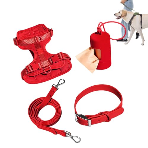Hundegeschirr-Set für kleine Hunde – kein Ziehen, Hundegeschirr mit Leine, Sicherheitshalsband, verstellbar mit Kotbeutelhalter von Nxbuynef
